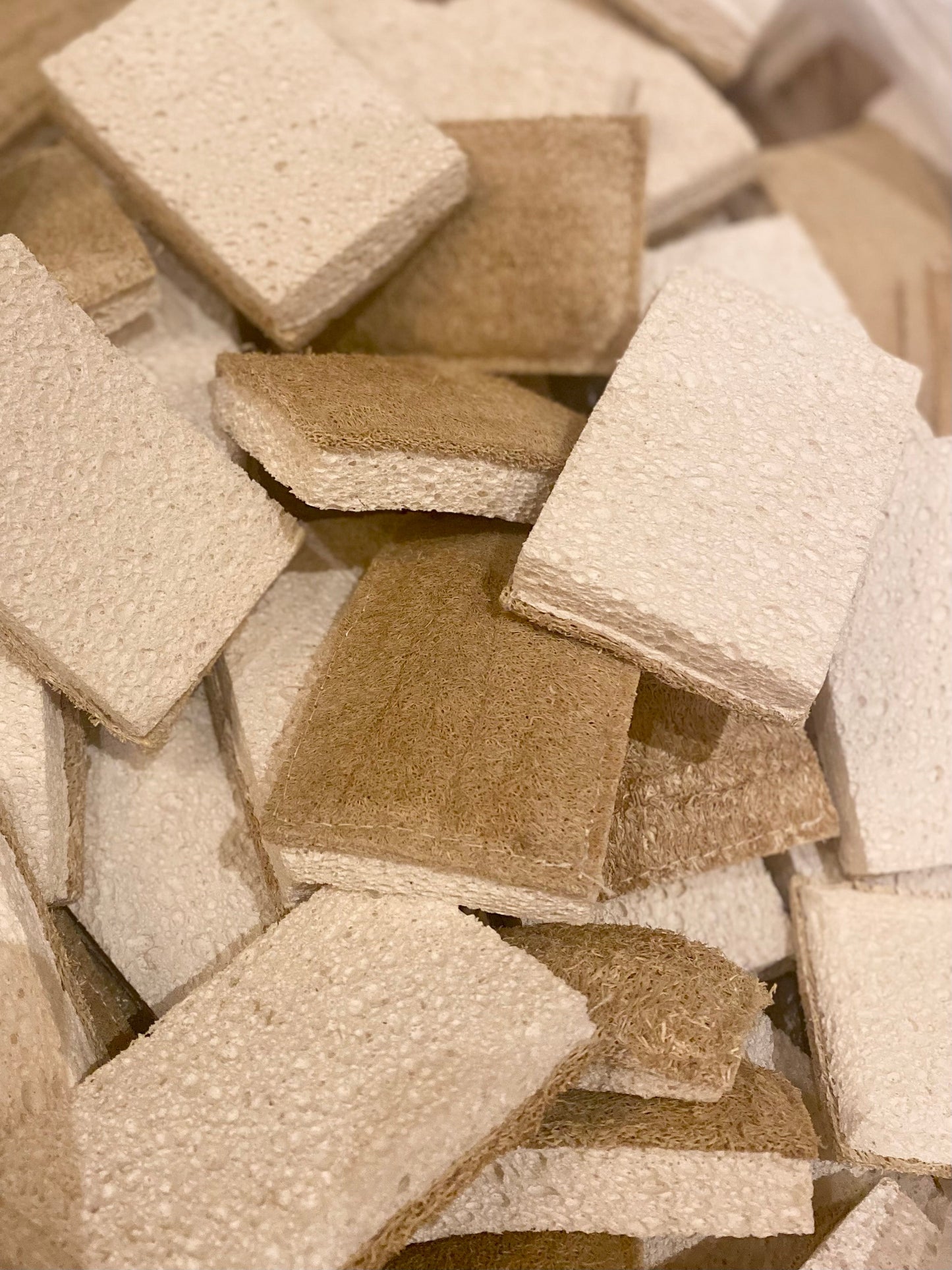 【outlet】へちまが硬い、土に還るエコスポンジ(厚め)