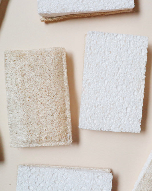 土に還るエコスポンジ  |  厚め(ラベルレス)