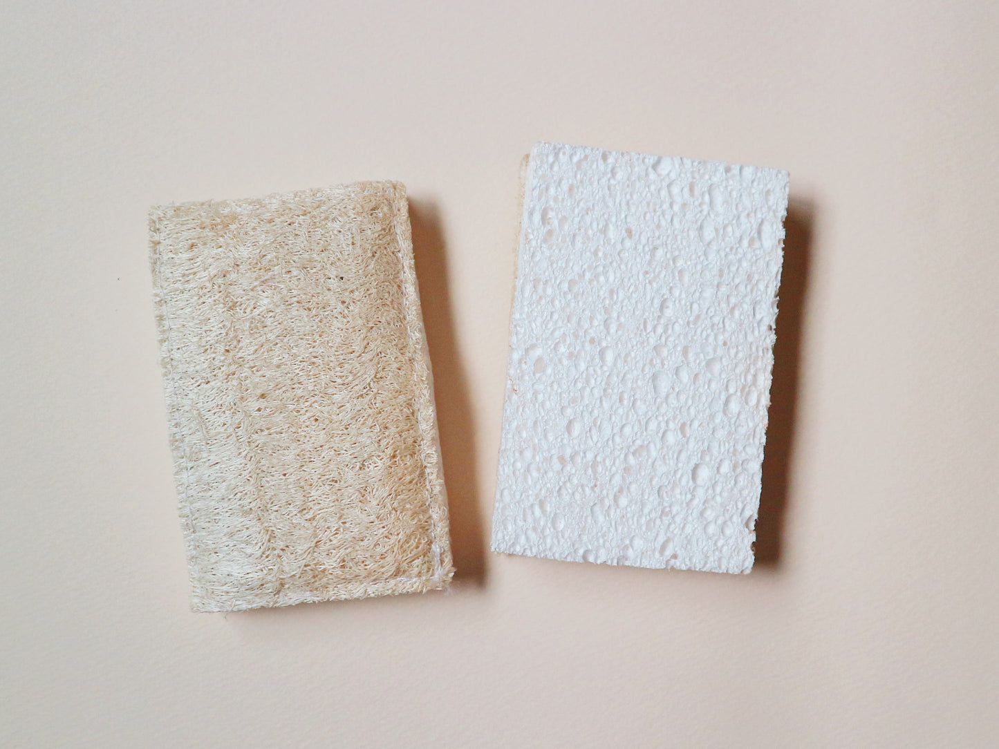 【outlet】へちまが硬い、土に還るエコスポンジ(厚め)