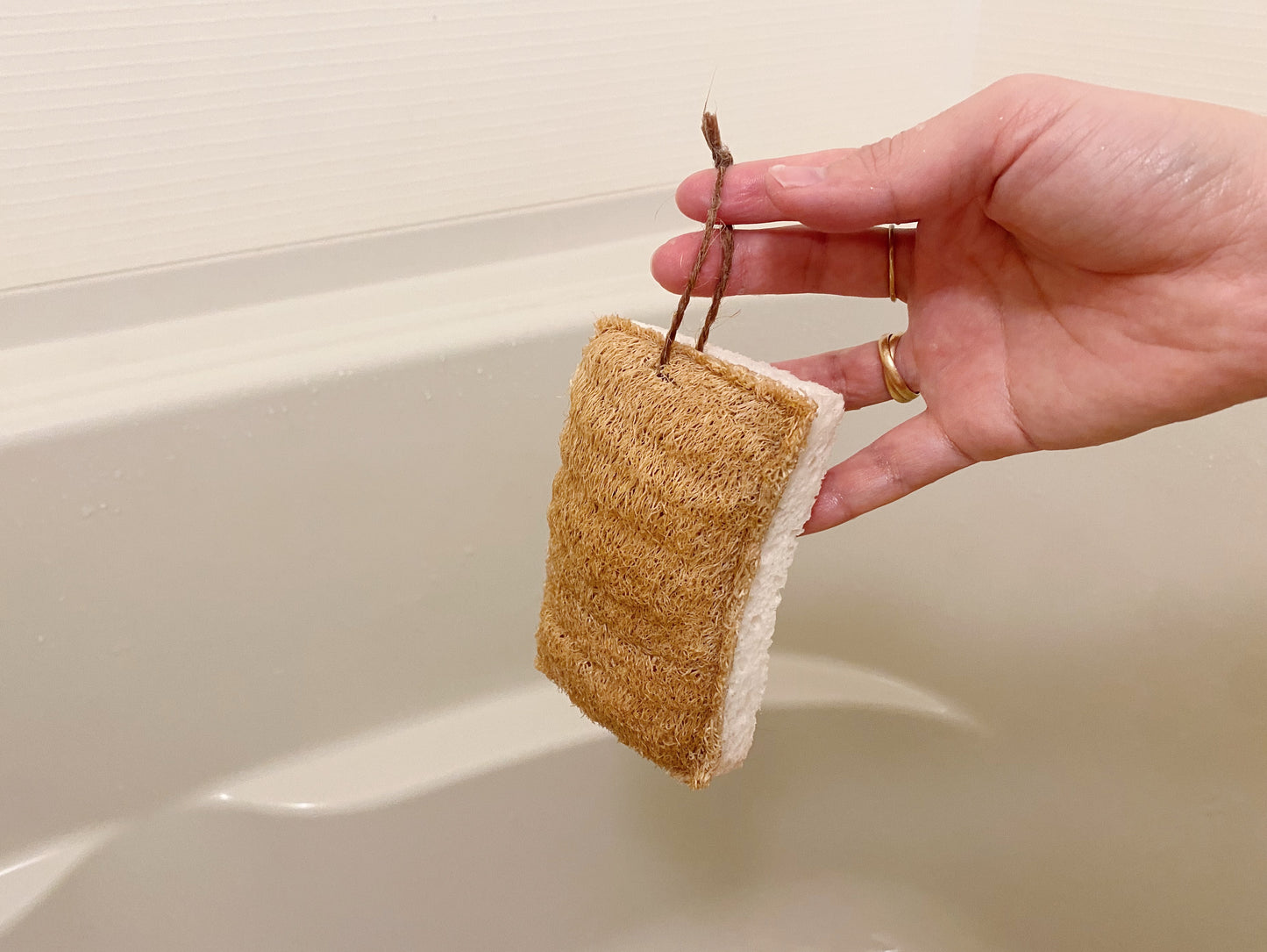 【outlet】へちまが硬い、土に還るエコスポンジ(厚め)