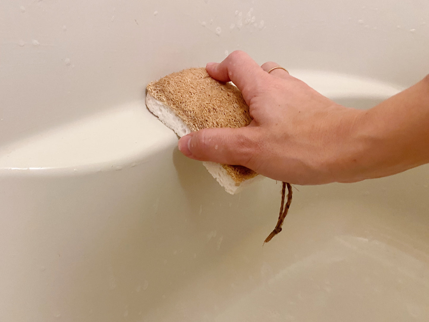 【outlet】へちまが硬い、土に還るエコスポンジ(厚め)