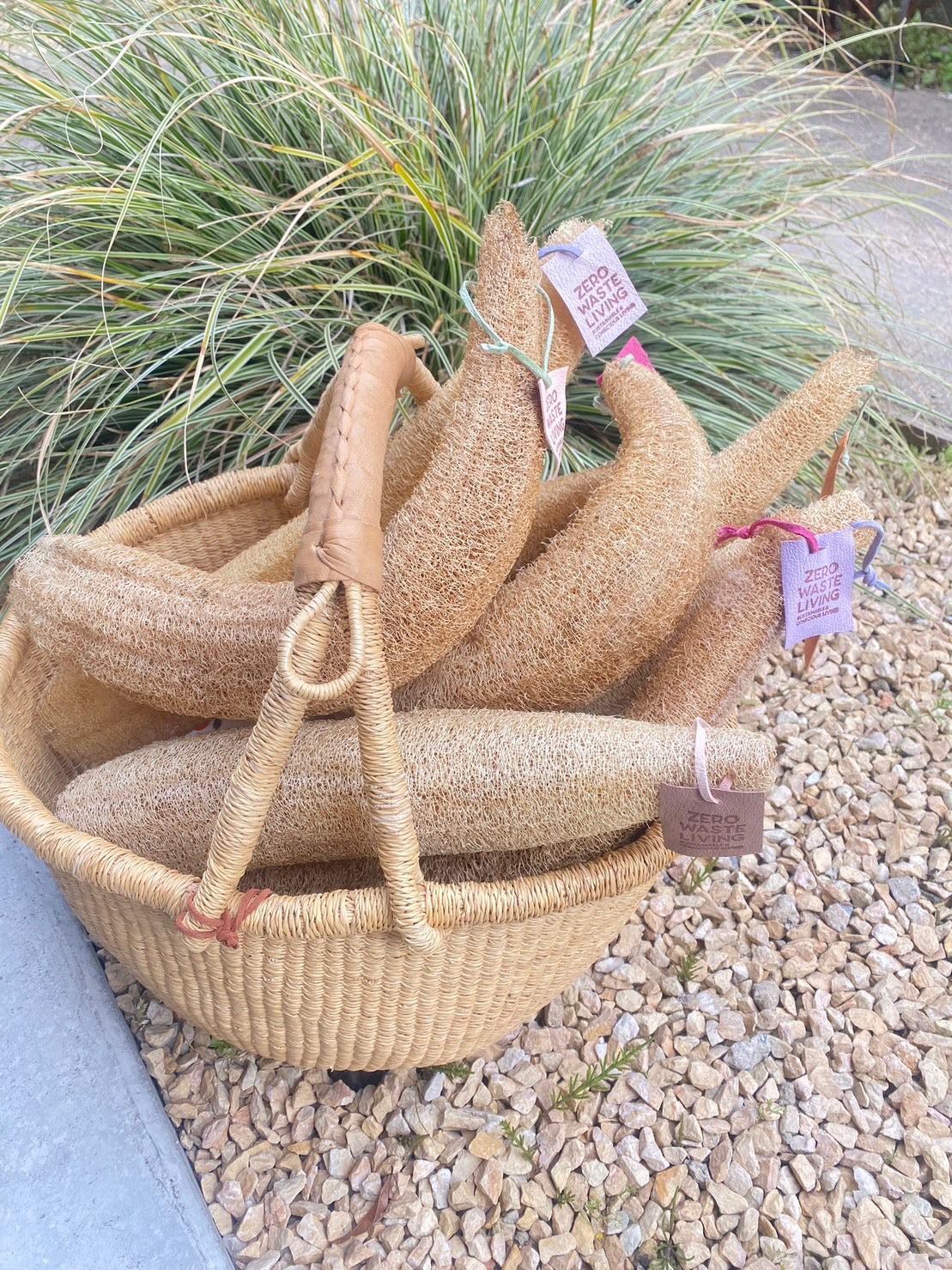 【無料】国産無農薬 固定種へちまの種(10個程度)