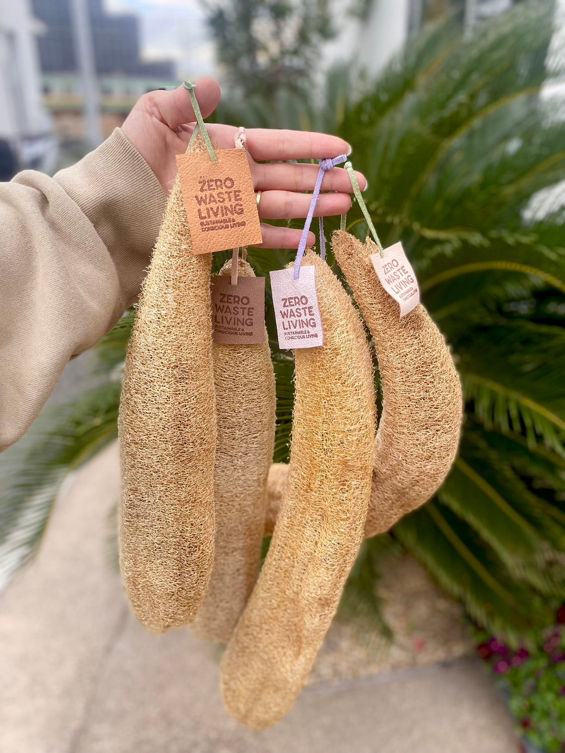 【無料】国産無農薬 固定種へちまの種(10個程度)