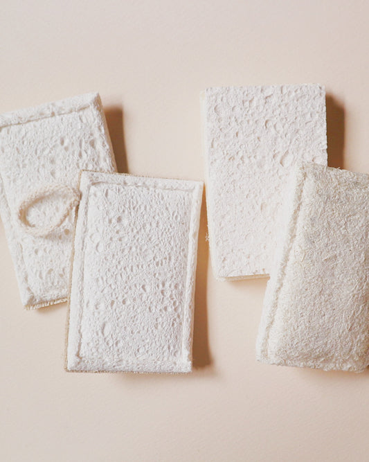 【お得パック】セルロースエコスポンジ5個セット(ラベルレス)