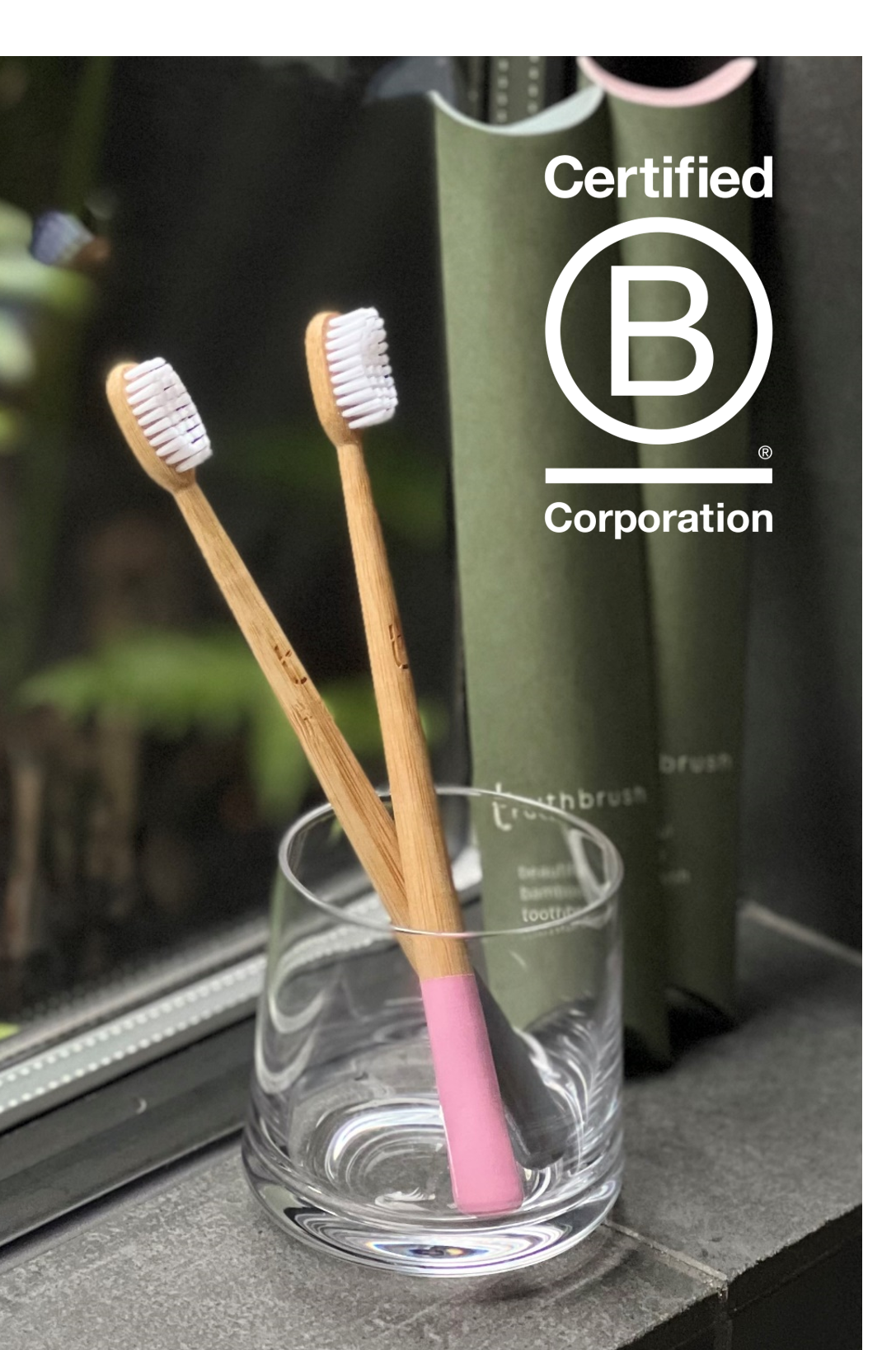B-corp認証 竹歯ブラシ（大人用）