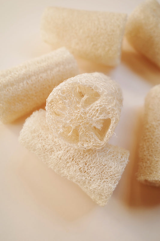 無農薬 国産へちまたわし